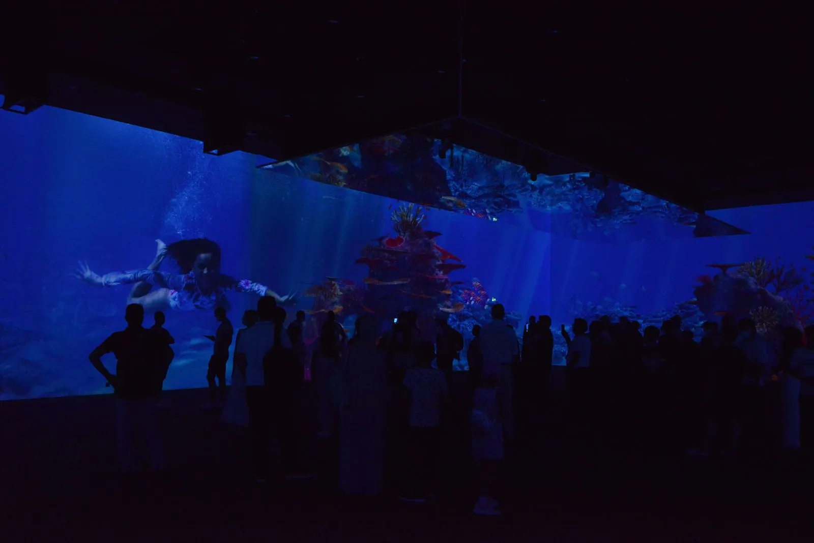 Australian Pavilion: immersive projection and light